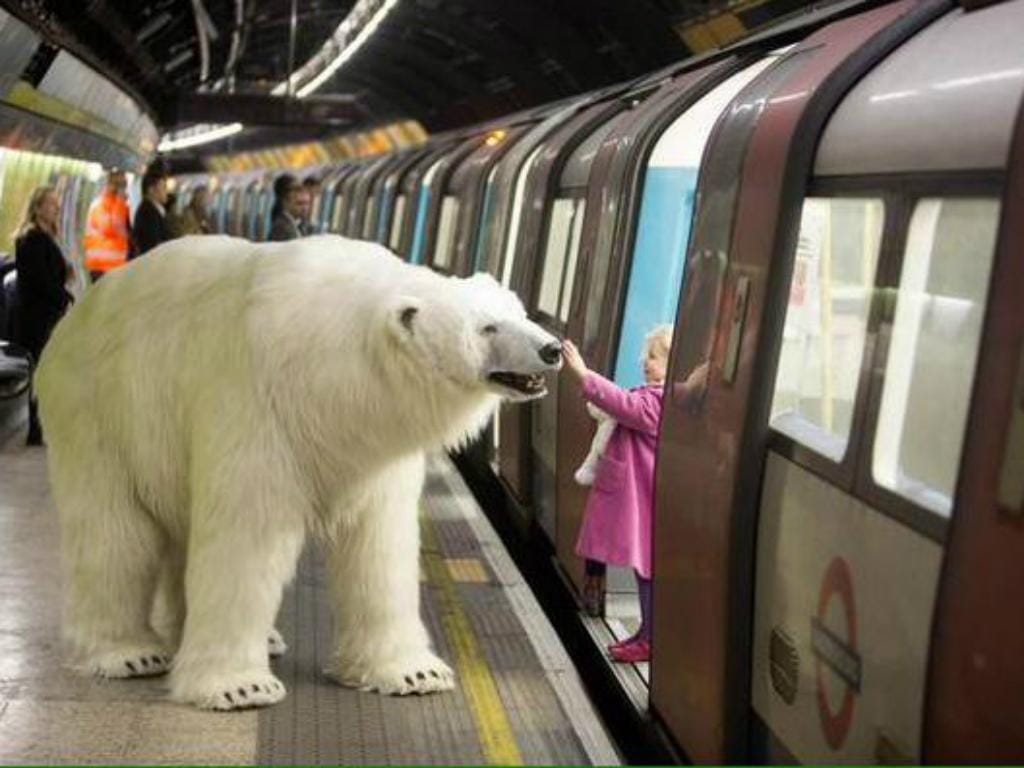 Urso polar no metro de Londres [Divulgação]