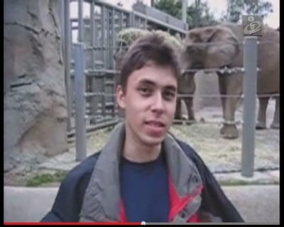 10 anos de YouTube: ninguém diria que tudo começou com elefantes - TVI