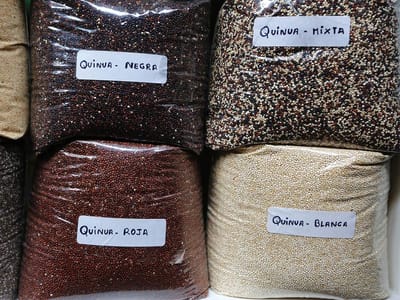 Consumo diário de quinoa pode evitar cancro - TVI