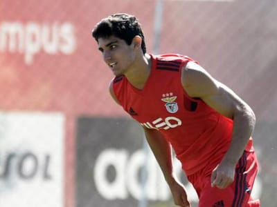 Gonçalo Guedes: «Espero ficar no plantel do Benfica» - TVI