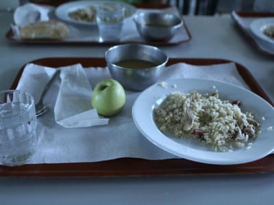 Criadas novas equipas de fiscalização de refeições nas cantinas escolares - TVI