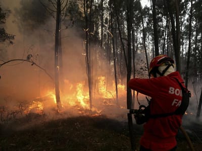 Fogo continua a lavrar em Viana do Castelo - TVI