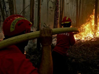 Incêndio em Elvas em zona de maus acessos - TVI