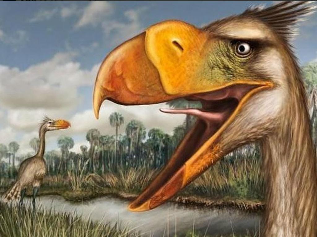 Descoberta nova «ave do terror» [Journal of Vertebrate Paleontology]