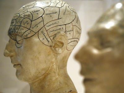 Afinal a esquizofrenia pode não ter uma origem neuronal - TVI
