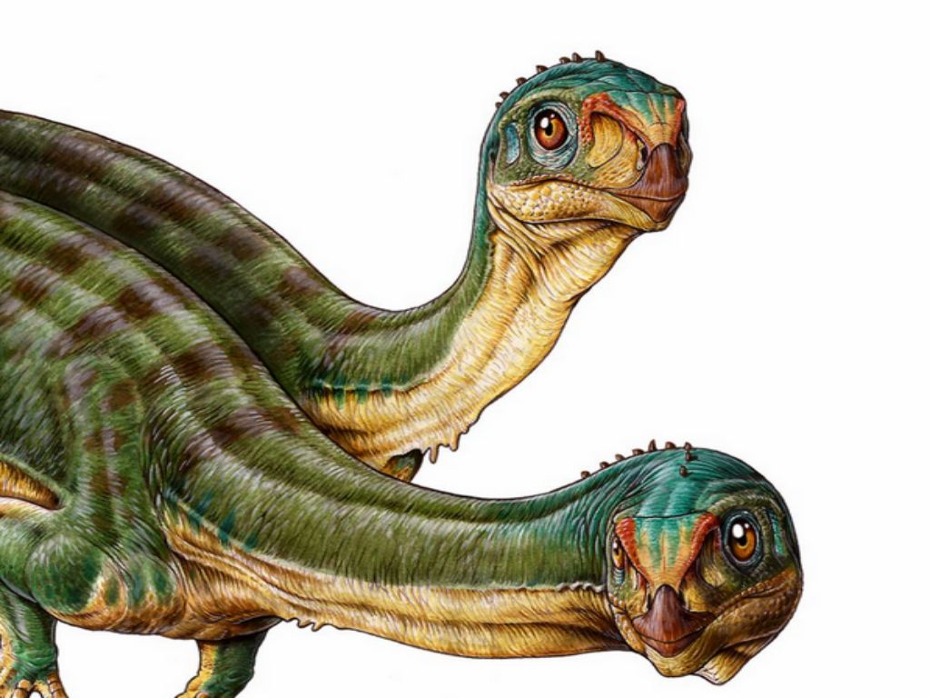 "Chilesaurus diegosuarezi" - Ilustração de Gabriel Lío 