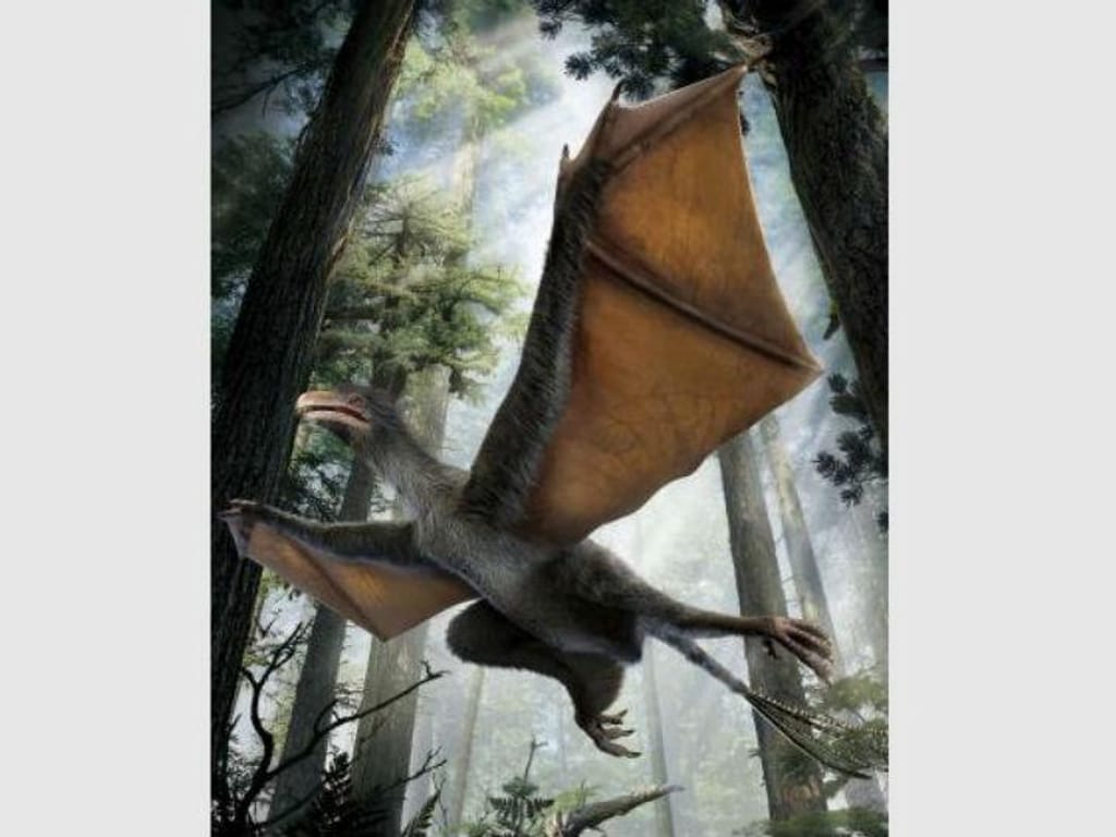 Dinossauro com asas de morcego descoberto na China (Reuters/Dinostar Co. Ltd)