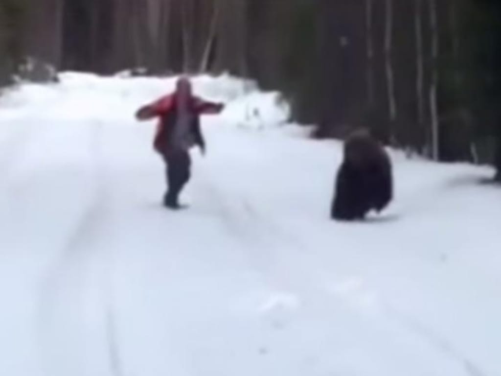 Homem afugenta urso com grito [Foto:Youtube]