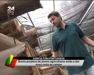 A agricultura portuguesa pode ser competitiva? - TVI