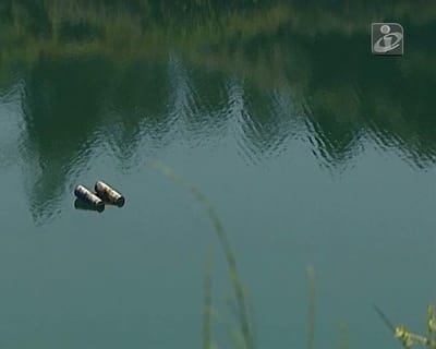 Helicóptero cai em lagoa em Paços de Ferreira - TVI