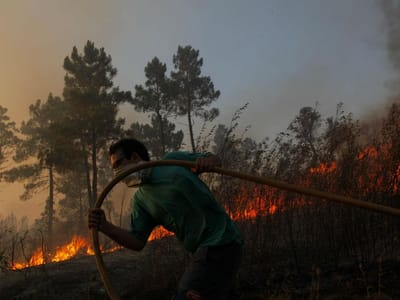 Incêndio em Silves combatido por mais de 100 bombeiros - TVI