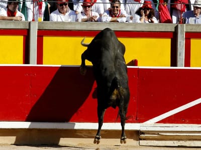 Quatro mortos em largadas de touros em Espanha - TVI