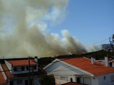 Incêndio afetou a A5 e colocou casas em perigo - TVI