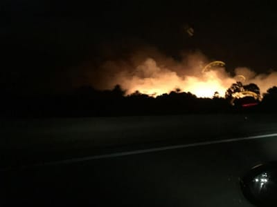 Incêndio assusta moradores em Coina - TVI