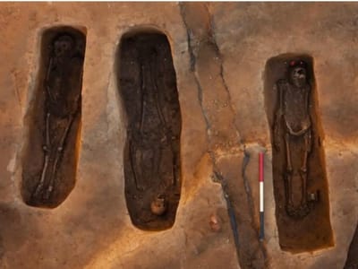 Descobertos restos mortais de primeiros colonos ingleses na América - TVI