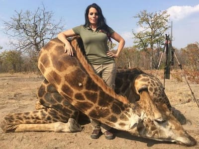 Caçadora de animais selvagens exibe troféus no Facebook - TVI