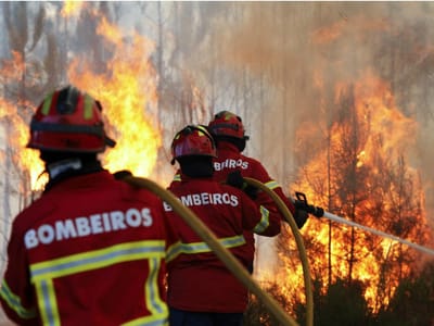 Quatro bombeiros feridos em incêndio em Figueira de Castelo Rodrigo - TVI