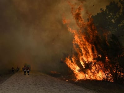 GNR já deteve 50 pessoas por ligações a incêndios este ano - TVI