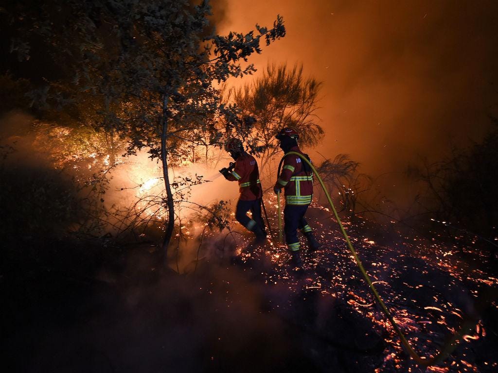 Incêndio florestal em Mangualde (NUNO ANDRÉ FERREIRA/LUSA)
