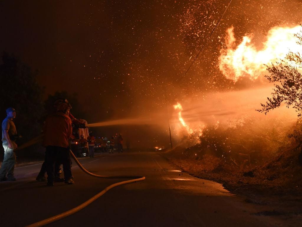 Incêndio florestal em Mangualde (NUNO ANDRÉ FERREIRA/LUSA)