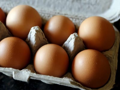 Doze países afetados com ovos contaminados com inseticida - TVI