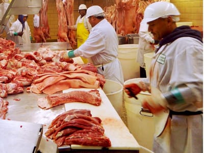 Portugueses na Suíça comem mais carne, revela estudo - TVI