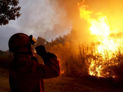 Fogo devasta área de eucaliptal em Estremoz - TVI