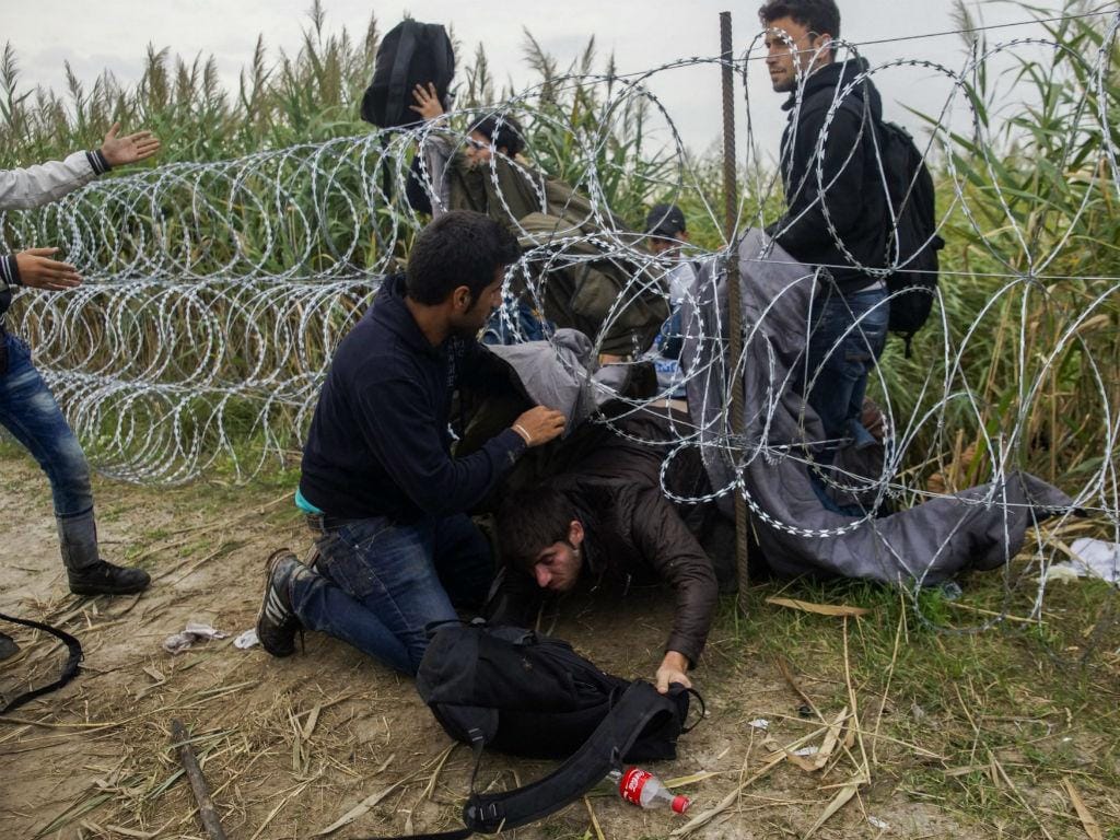 Migrantes passam fronteira na Hungria [Foto: Lusa]