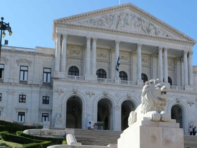 Ferro e Negrão disputam liderança do Parlamento - TVI