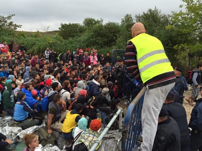 Refugiados: Croácia abre fronteira com a Sérvia - TVI