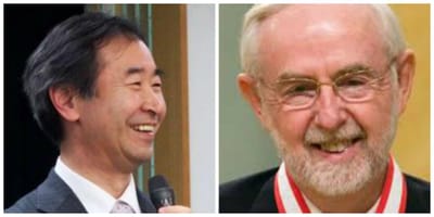 Takaaki Kajita e Arthur B. McDonald recebem Nobel da Física - TVI
