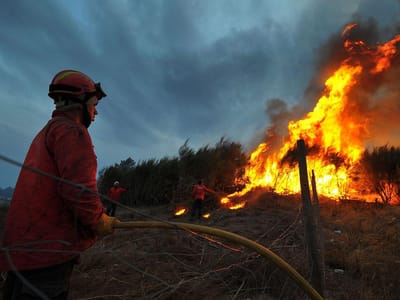 Quatro concelhos em risco máximo de incêndio - TVI