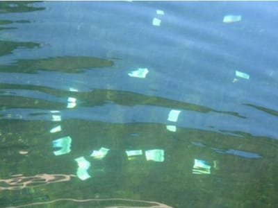 Rapaz encontra 100 mil euros a flutuar no Rio Danúbio - TVI