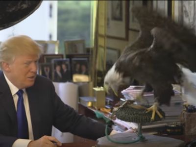 O vídeo de Donald Trump a ser atacado por uma águia - TVI