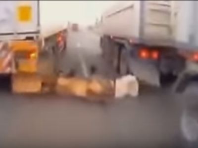 Motociclista escapa à morte em acidente com camiões TIR - TVI