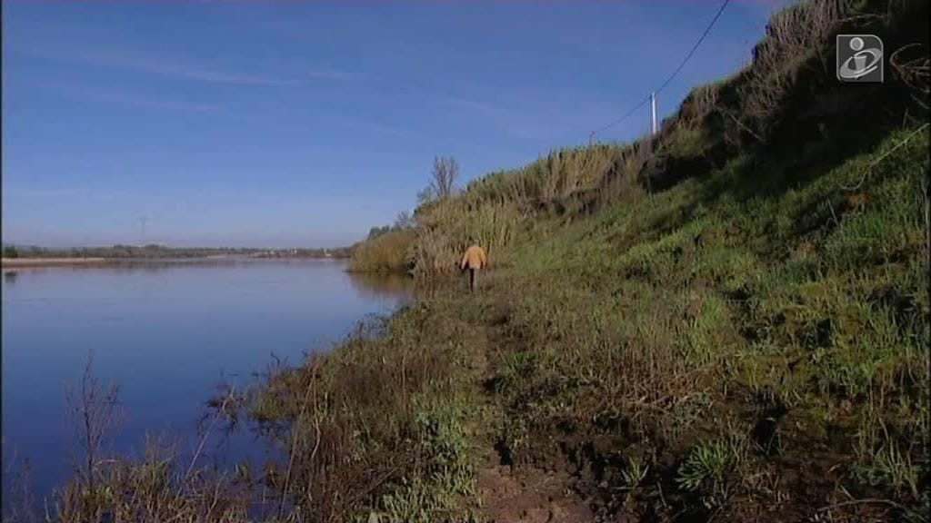 Cheias no Ribatejo: Agricultores preocupados com os rombos nas margens do Tejo