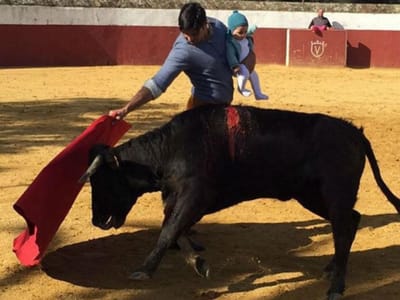 Toureiro enfrenta touro com a filha de cinco meses ao colo - TVI