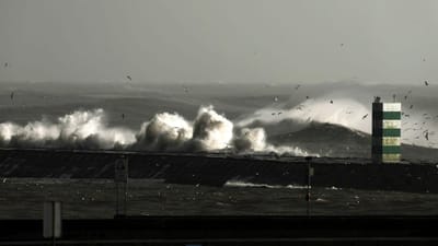 Distrito de Faro com aviso amarelo devido a forte agitação marítima - TVI