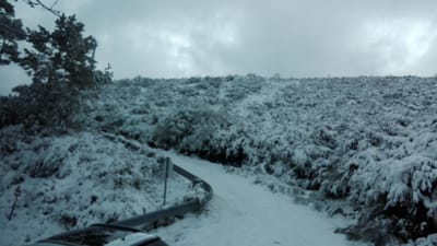 Queda de neve corta acesso ao maciço central da Serra da Estrela - TVI
