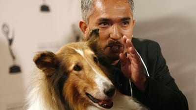 “Encantador de cães” suspeito de maus-tratos a animais - TVI