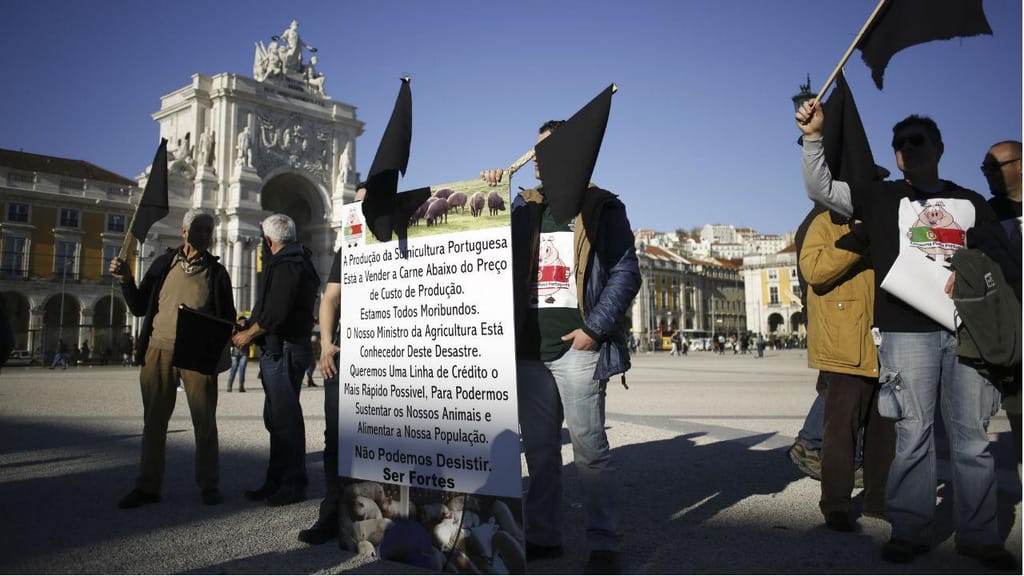 Suinicultores fazem protesto em Lisboa
