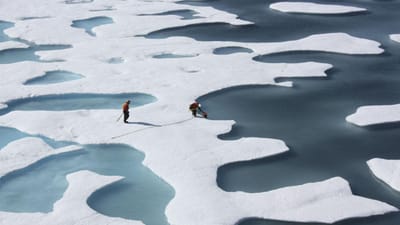Última massa de gelo intacta do Ártico canadiano entra em colapso - TVI