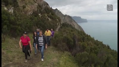 Proteção Civil da Madeira lança app para salvar vidas - TVI