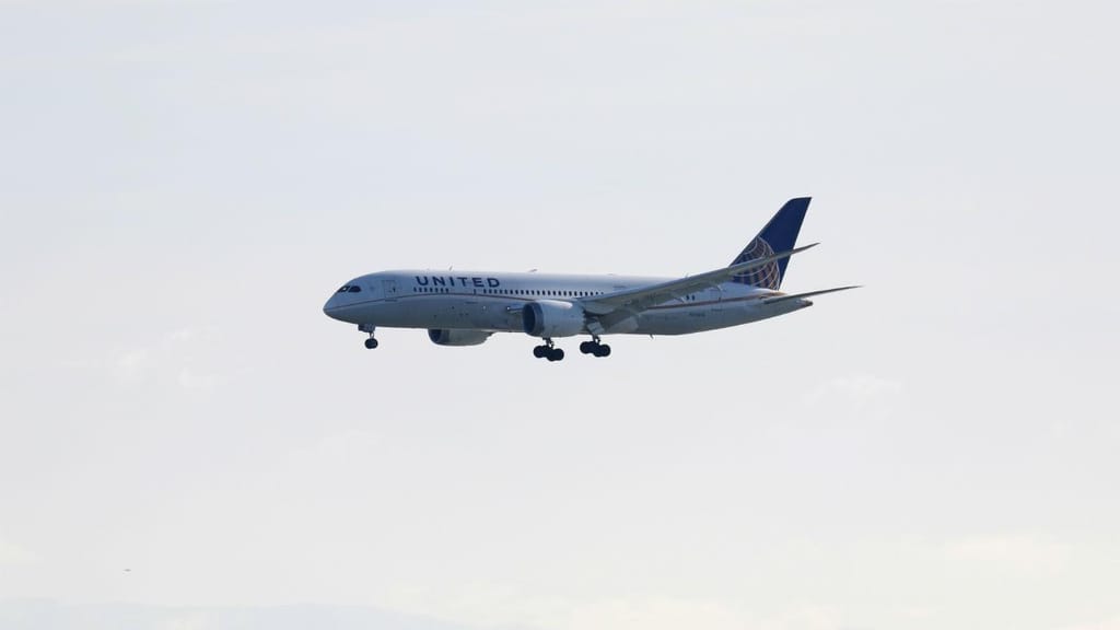 Boeing 787 [Foto: Reuters]