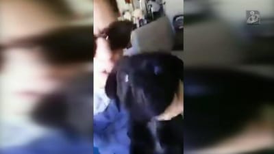 Associação ANIMAL apresenta queixa-crime contra jovem que se filmou a maltratar cão - TVI