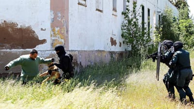 Uma dúzia de terroristas estrangeiros passaram por Portugal - TVI