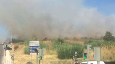 Incêndio em zona de mato na Estrada da Luz, em Lisboa - TVI
