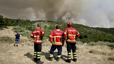 Mais de 3648 operacionais combatem 179 incêndios no continente - TVI