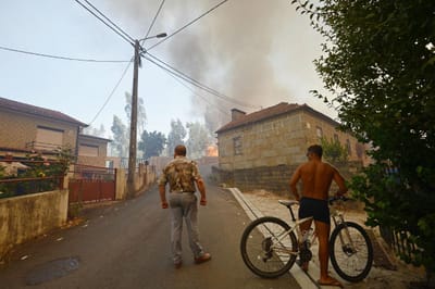 Cerca de 7.000 operacionais combateram 2.000 fogos no sábado - TVI