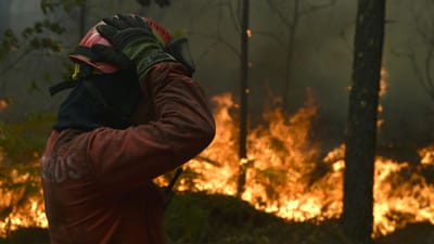 Fogo em povoamento florestal de Vila Pouca de Aguiar está a ceder aos meios - TVI